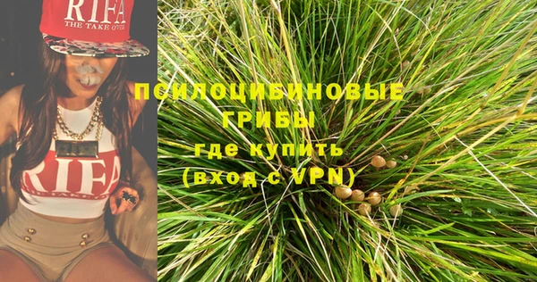 тгк Пересвет