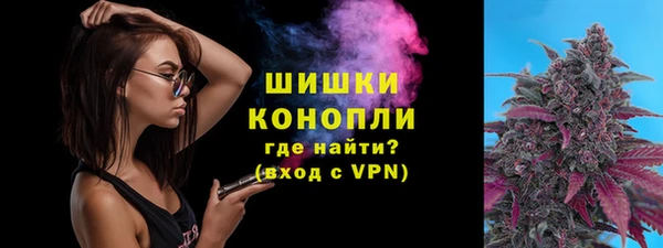 тгк Пересвет