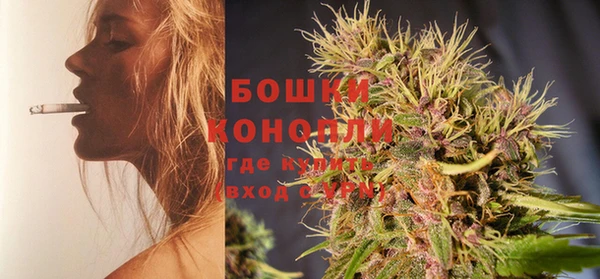 тгк Пересвет