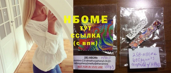 тгк Пересвет
