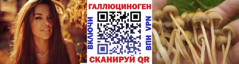 где можно купить наркотик  Серафимович  OMG ссылка  Псилоцибиновые грибы ЛСД 